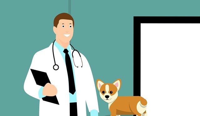 6 Ways to Improve Client Loyalty in the Veterinarian Industry