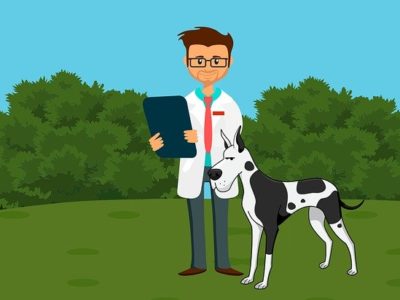 Why You Should Study Math When Seeking to Become a Veterinarian