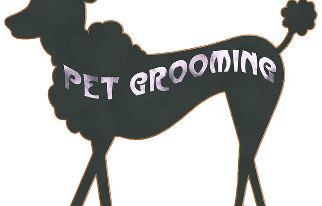 7 Essential Tools All Professional Dog Groomers Need to Succeed