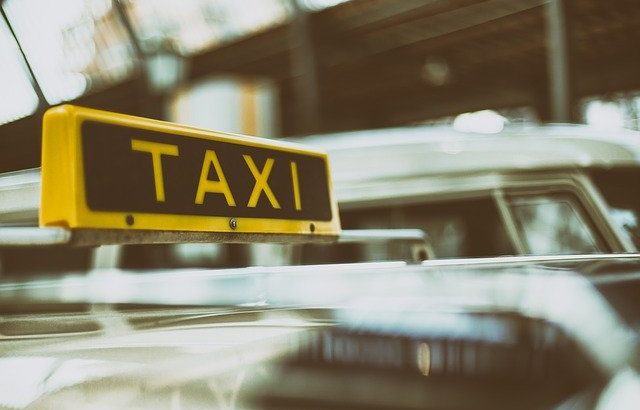 What Is a Pet Taxi Business and How Does It Work?