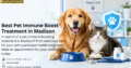 Best Pet Immune Boost Treatment in Madison | Get C
