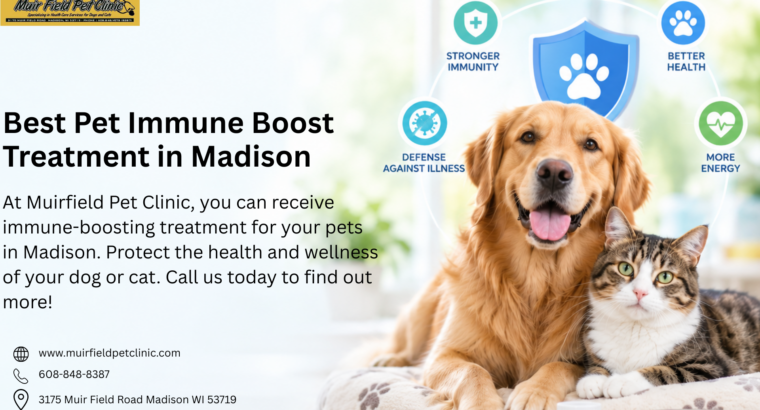 Pet Immune Boost Treatment in Madison