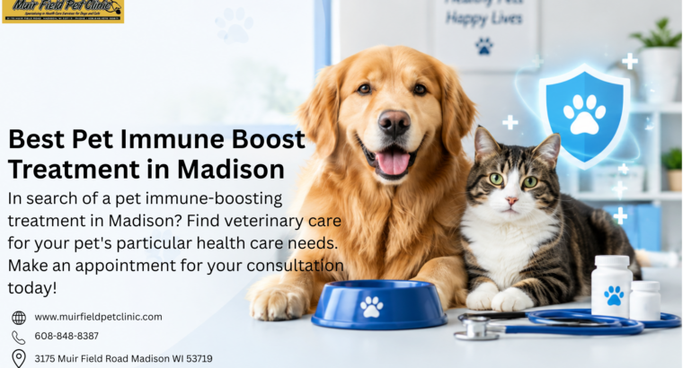 Best Pet Immune Boost Treatment in Madison | Get C