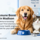 Best Pet Immune Boost Treatment in Madison | Get C